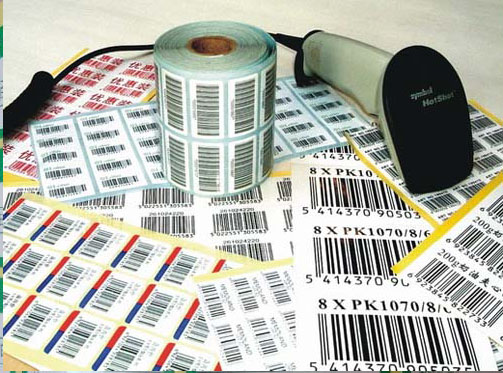 ���ɽ�����